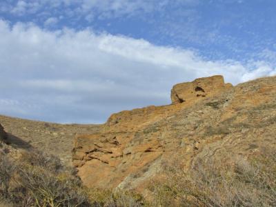 Прикрепленное изображение: DSCF6094.jpg